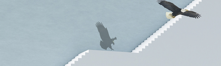 3499拉斯维加斯(官方认证)网站-Made in PRC